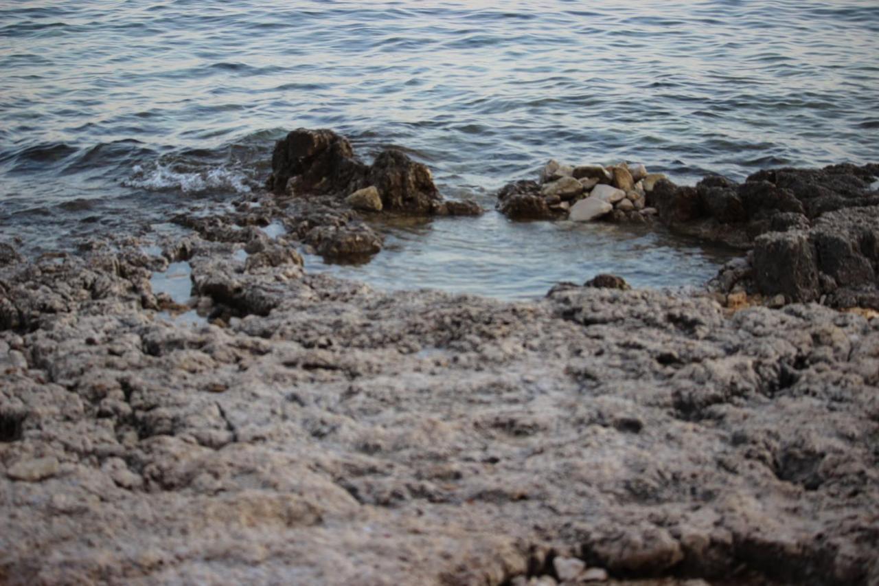 Lilac Kos Rovinj